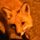 today i fucked up by (wjng socmed)